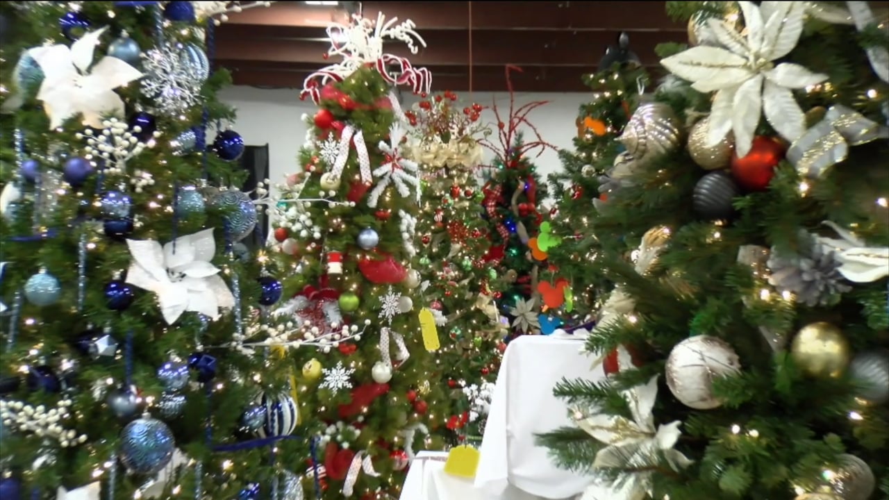 Sneak Peek: Festival of Trees – TV-10 News